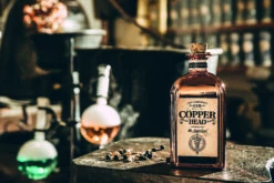 Copperhead The Alchemist´s Gin 40% 0,5l -Hochwertige Spirituosenläden 60371 copperhead the alchemis s gin 40 0 5l mood 4 1b9c