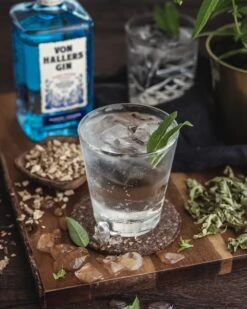Von Hallers Gin 44% 0,5l 5 Von Hallers Gin 44% 0,5l -Hochwertige Spirituosenläden 61096 von hallers gin 0 5l 44 mood 4 9311