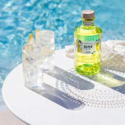 June By G Vine Gin Pear & Cardamon 37,5% 0,7l -Hochwertige Spirituosenläden 61170 june by g vine gin pear cardamon 37 5 0 7l mood 1 b79b