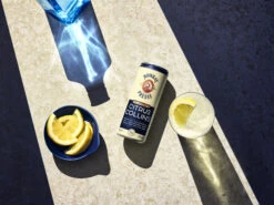 Bombay Citrus Collins 10% 12x0,25l Dose -Hochwertige Spirituosenläden f23 global bombay rtdcollins g t 002 lnp