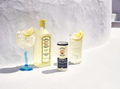 Bombay Citrus Collins 10% 12x0,25l Dose -Hochwertige Spirituosenläden f23 global bombay rtdcollins presse g t lnp
